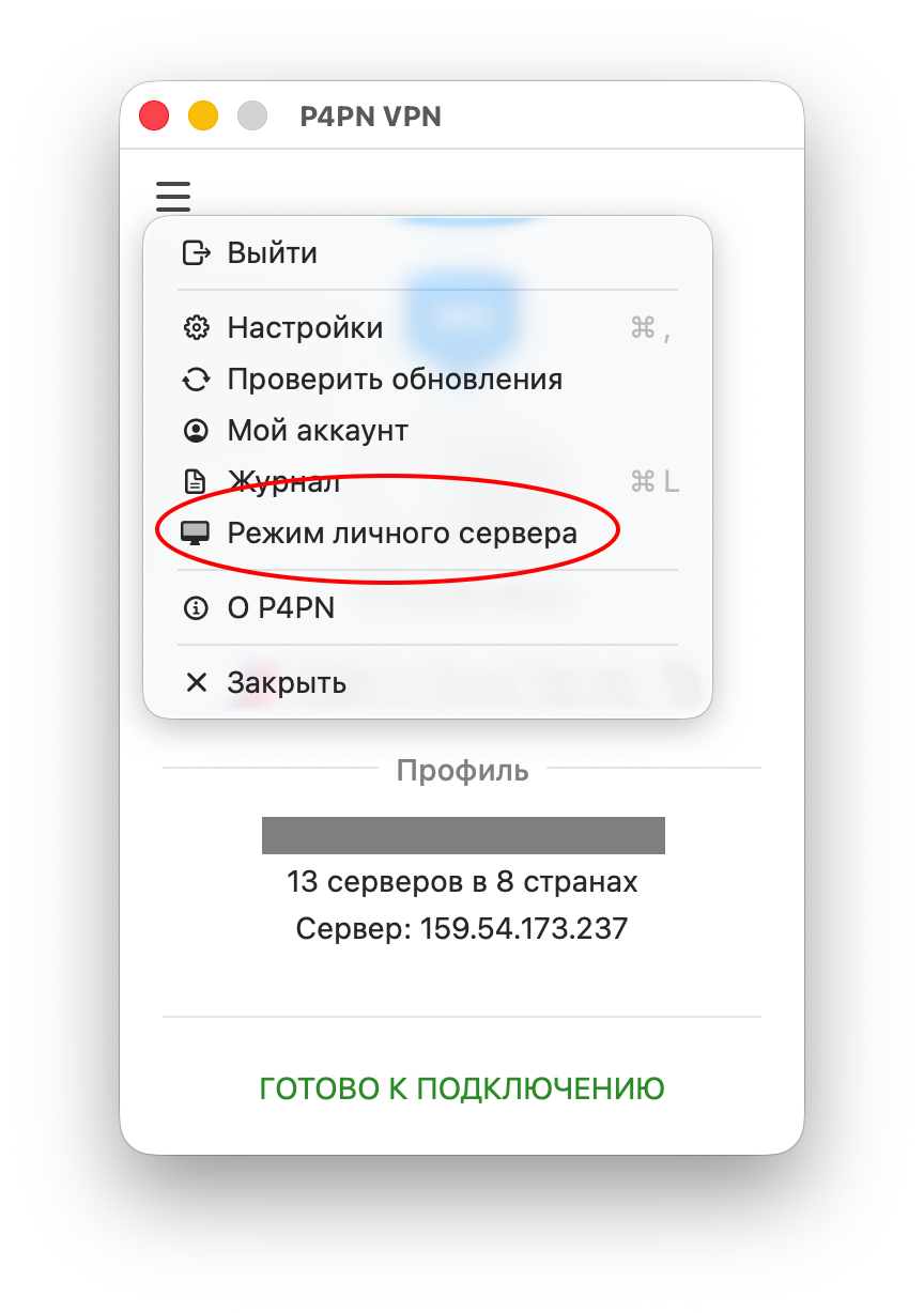 Меню P4PN с пунктом «Режим личного сервера»